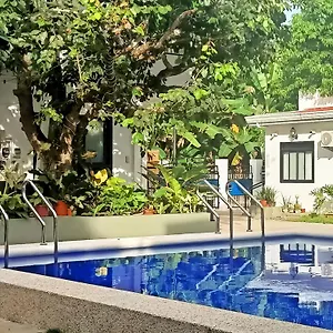 alona-whitehouses-panglao.hotelspanglao.com/